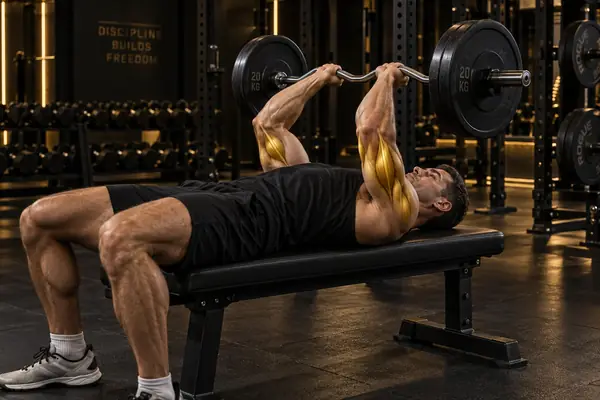 EZ-Bar Skull Crusher
